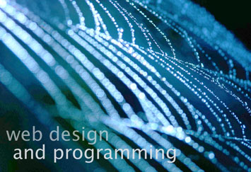 web design and programming